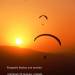 Fathers days voucher paragliding Santa Pola