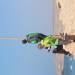 Alicante paragliding Doyouwanna